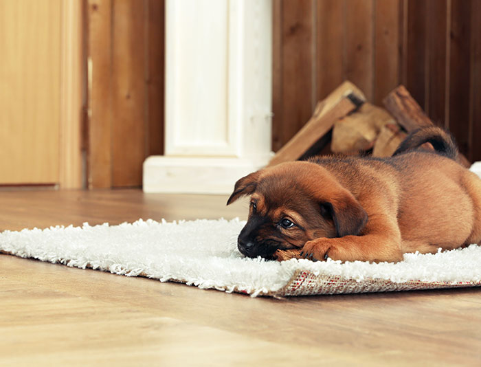 leminate gallery pic 11