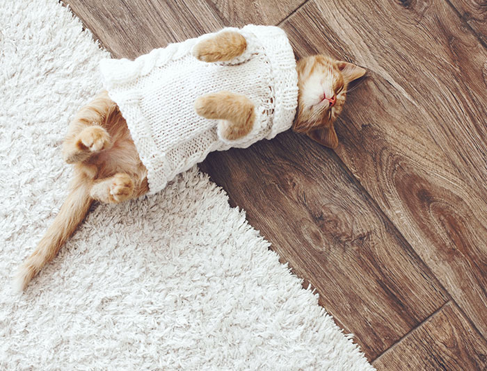 leminate gallery pic 14