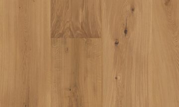 Oak Polos