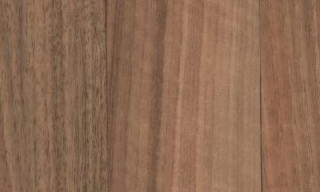 Eternal Wood